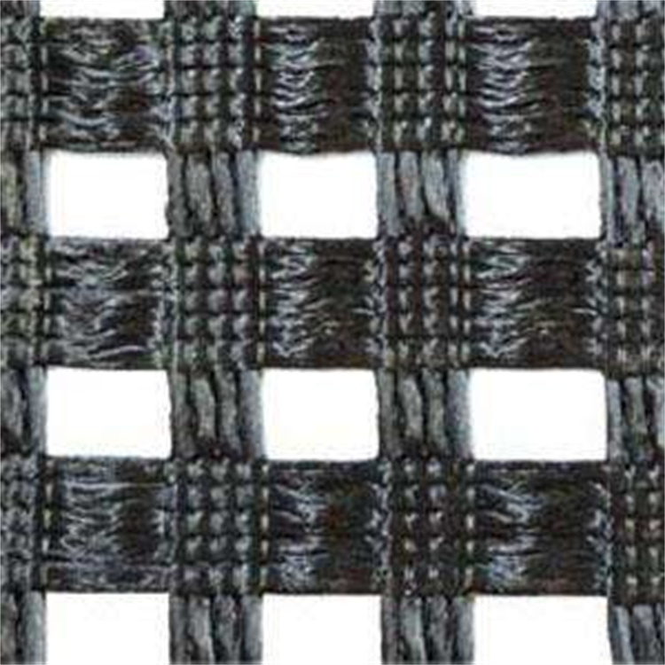 PET geogrid